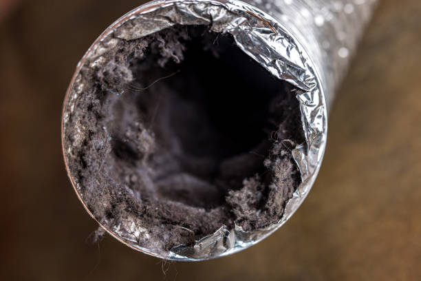 Best Duct Repair and Sealing Services in Key Biscayne, FL